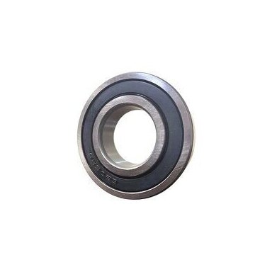 GUOLIS  2RS1  63006