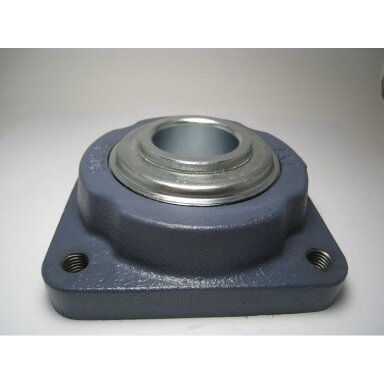 GUOLIS  SU KORPUSU LSFR 308